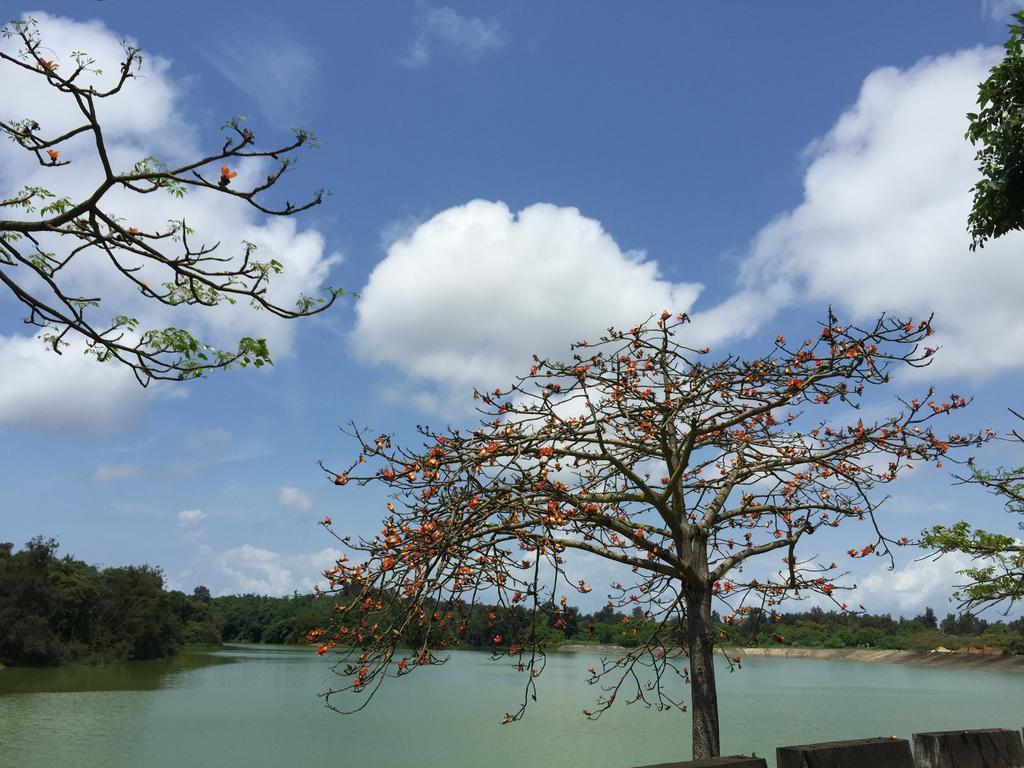 Ancient Official Road Homestay Jinhu Exterior foto